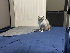 -零纪元VR体验馆·桌游(黄浦店)