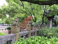 -汇龙潭