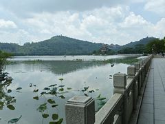 -顺峰山公园