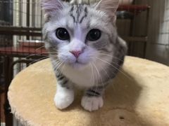 -邢大夫动物医院