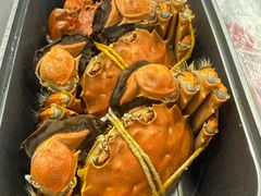 -黄记大闸蟹专卖店·活蟹·醉蟹