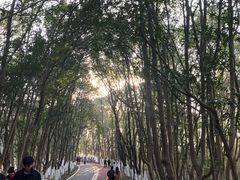 -艾溪湖湿地公园