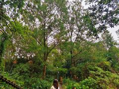 -桤木河湿地公园