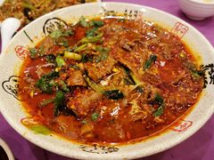 水煮牛肉-陈麻婆豆腐(春熙店)