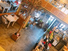 -Cafe Alice咖啡爱丽丝(奥城店)