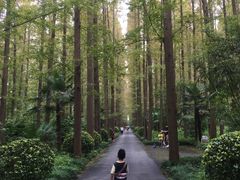 -上海怡沁园度假酒店