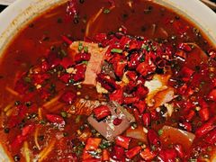 精品毛血旺-上名堂·鱼头好吃(体育场路店)