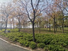 -傅家庄公园