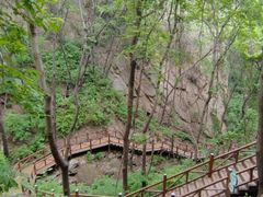 -大岭沟猕猴桃谷风景区