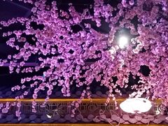 -韵秋荷(宝山龙湖天街店)