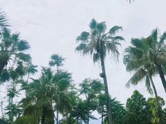 -东芭乐园