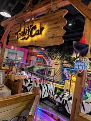 -卡通尼·Safari非洲探索乐园·生日会(金桥国际商业广场店)