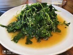 -双塔老饭店