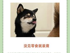 -派联宠物医院·24h·CT·异宠