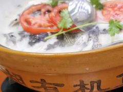 -全乐鱼馆·淳牌有机鱼直营店