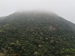 景点-阳台山森林公园
