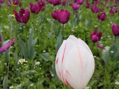 -长春公园(普阳街道)