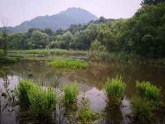 -西湖风景区-江洋畈生态公园