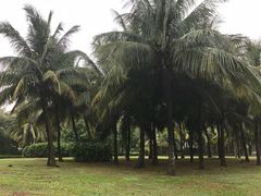 -白沙门生态公园