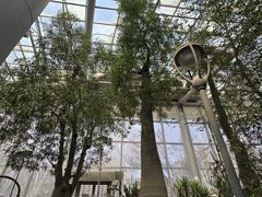 -郑州植物园