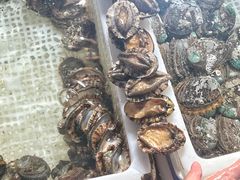 活鲍鱼-霞涌市场海鲜摆卖区
