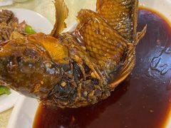 挣蹦鲤鱼-奥华餐厅·老张记(台基厂店)