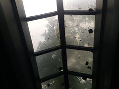 -广州花园酒店