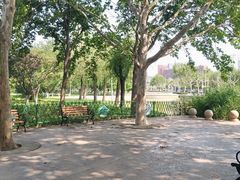 -泰丰公园