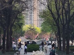 -木塔寺遗址生态公园