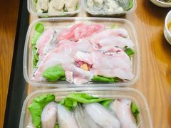 招牌鱼册-金砂阿洲鱼册店