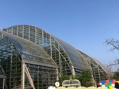 -南山植物园