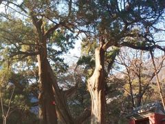 -北京上方山国家森林公园
