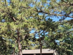 -承德避暑山庄景区