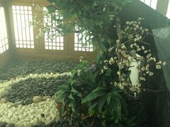 -安贞汤泉(安贞桥店)