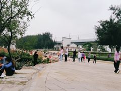 -宝安西湾红树林湿地公园