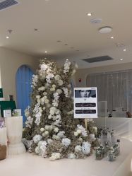 -洛伊科技抗衰护肤中心