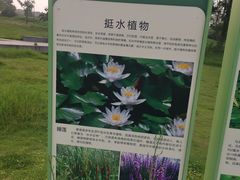 -两河城市森林公园