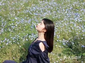 杭州喜林草花海打卡|掉进莫奈花园里啦