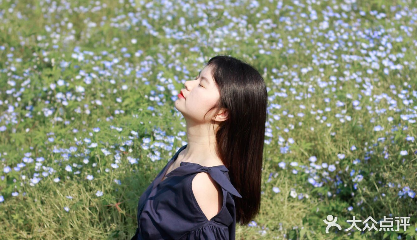 杭州喜林草花海打卡|掉进莫奈花园里啦