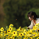 江浙沪的小京都｜无锡灵山小镇拈花湾梵天花海拍照功略