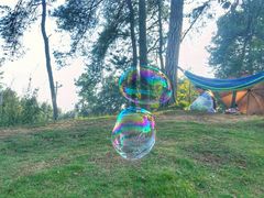 -铁山坪森林公园