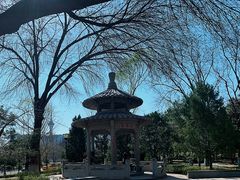 -玲珑塔公园