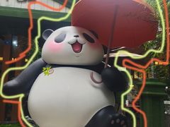-轩客会(熊猫书店)