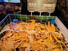 -雍容荟帝王蟹活龙虾展台自助(IFS黑金店)