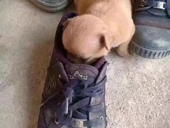 -1点点(龙湖金楠天街店)