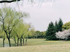 -黄兴公园