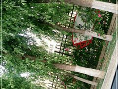 -秦皇岛市西港路小学