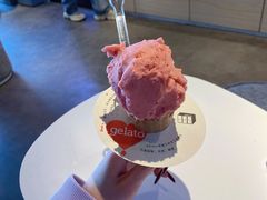 -野人牧坊Gelato(天津南开大悦城店)