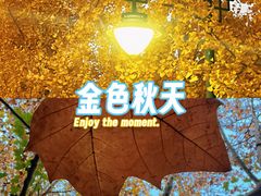 -高旻寺