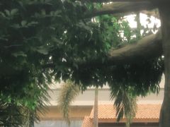 -国信南山温泉